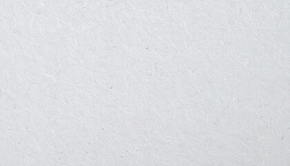 Obraz premium Light Grey Paper Texture Macro Photograph