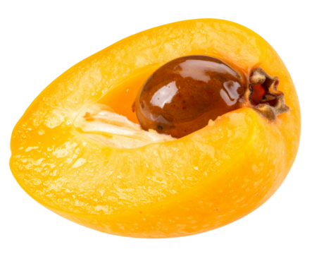  Loquat Slice Wedge with Juicy Flesh and Glossy Seed, macro view, isolated on transparent background PNG - Powered by Adobe