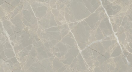 Elegant Light Grey Marble with Delicate White Veining and Natural Stone Texture