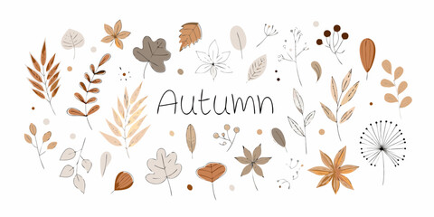 Obraz premium Hand drawn autumn leaves and berries border with text autumn in a minimalist style