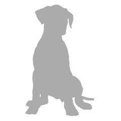 Sitting dog silhouette against black background