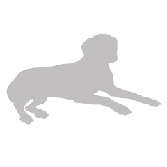 Gray silhouette of a dog lying down on a black background silhouette