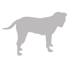 Gray silhouette of a large dog standing on a black background silhouette
