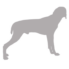 Gray silhouette of a standing dog on a black background silhouette