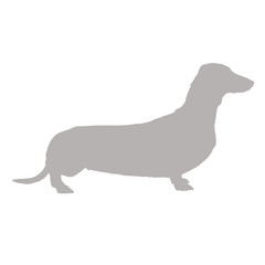 Dachshund dog standing profile silhouette