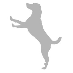 A playful dog standing on its hind legs silhouette