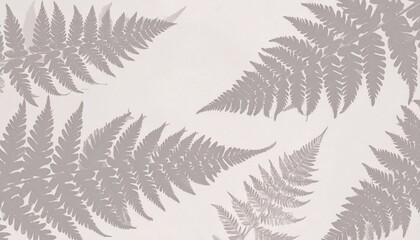 Delicate Gray Fern Frond Shadows on Cream Background