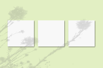 Natural light casts shadows from wildflowers on 3 square sheets of white paper lying on a green background. Mockup