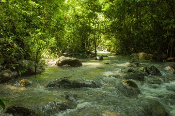 Fototapeta premium Green river water in Watuondo waterfall is derived from the green algae
