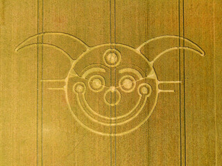 Aerial view of a mysterious, intricate, geometric crop art, crop circle formation in a wheat field near Stonehenge, Wiltshire, England, UK 
