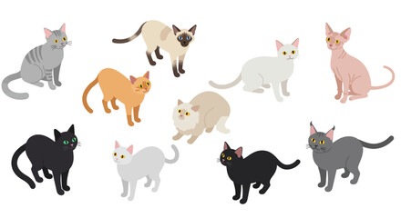 Collection of various cat breeds in a flat style