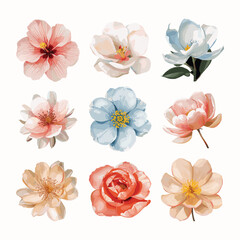 Watercolor flower set with roses and peonies, hand-painted botanical clipart, pastel floral illustration, isolated on transparent PNG