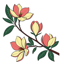 Pink and Yellow Magnolia Flowers on a Branch with Green Leaves Keywords: magnolia, flower, pink, yellow, blossom, bloom, branch