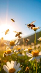 Busy bees flit among daisy flowers bathed in sunlight