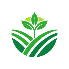a green plant sprouting from green fields or farms vector illustration