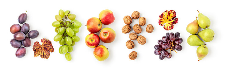 Banner with fresh autumn fruits flat lay photography isolated on white background
