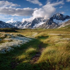 Fototapeta premium Snow-laden alpine meadow leading toward distant peaks in subarctic Alaska