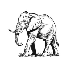 a highly detailed elephant silhouette with realist vector illustration
