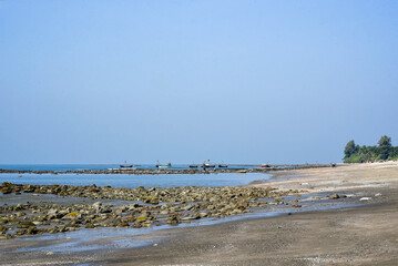Scenic Coastal Beach with Tropical Trees and Sea Shore on a Clear Day