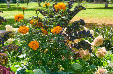 Beautiful garden with bright, varied flowers and greenery