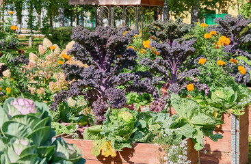 Beautiful garden with bright, varied flowers and greenery