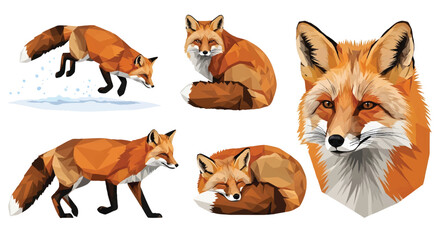 Geometric style fox vector illustrations set different poses and expressions fox vector polygonal low poly animal wildlife orange red winter jump sit sleep