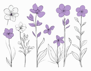 SET of Violet flower sketch hand drawn Vector Garden flowers