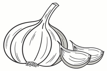 Clean outline of a garlic bulb illustration