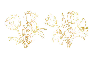 Golden lily and tulip flowers line art isolated on white background. Luxury tulip lily floral design elements for invitation, wedding, wallpaper, print template, vector illustration
