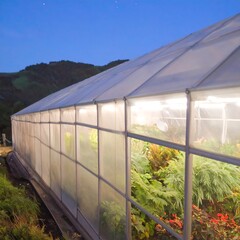 Illuminated greenhouse at night, plants visible inside