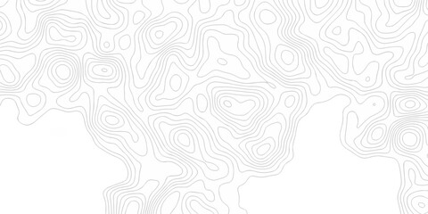 white topography map abstract vector lines topographic contour lines grid seamless pattern.
