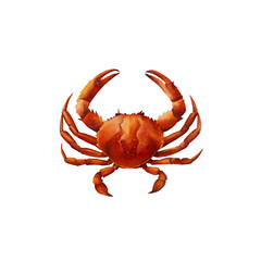 crab watercolor isolated vector white background