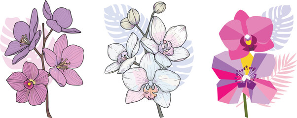 Orchid flower illustration set, tropical floral clipart bundle, hand-drawn and geometric design, pastel botanical elements for modern decor © Sabbir's World