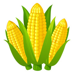 set of corn