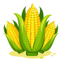 corn on a white background