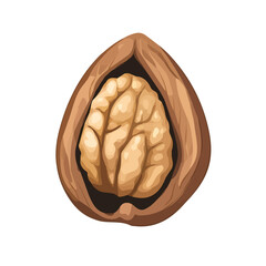 Minimal flat vector of a Walnut, 2D icon-style illustration on white background