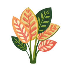 Flat 2D Maranta illustration, vector graphic in icon style, on white background