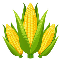 set of corn 