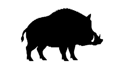 Wild boar silhouette with transparent background
