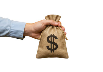 Hand holding a burlap money bag with a dollar sign isolated on transparent background