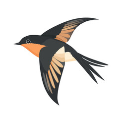 Flat 2D Swiftlet illustration, vector graphic in icon style, on white background
