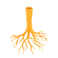 Minimal flat vector of a Yellow Root, 2D icon-style illustration on white background