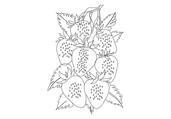 Continuous one line drawing strawberry fruit