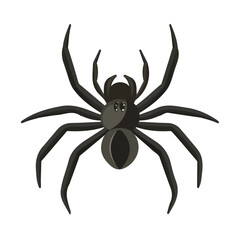 Minimal flat vector of a Spider, 2D icon-style illustration on white background