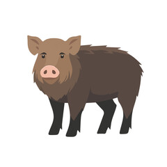 Fototapeta premium Flat 2D Wild Boar illustration, vector graphic in icon style, on white background