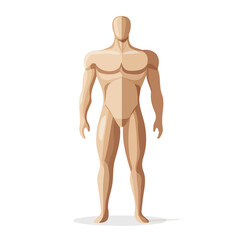 Minimal flat vector of a Piccolo Body, 2D icon-style illustration on white background