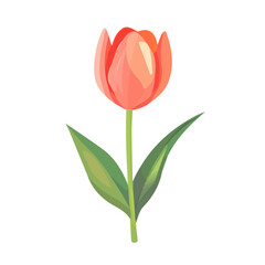 Fototapeta premium 2D flat vector illustration of a Tulip in icon style, isolated on white background