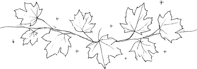 Obraz premium Minimalist line art maple leaf border for seasonal design and decoration