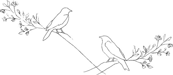 Minimalist line art of ravens perched on branches with delicate floral border for elegant design use