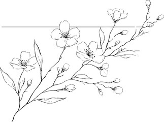 Elegant floral minimalist line art border design for stationery or wall art